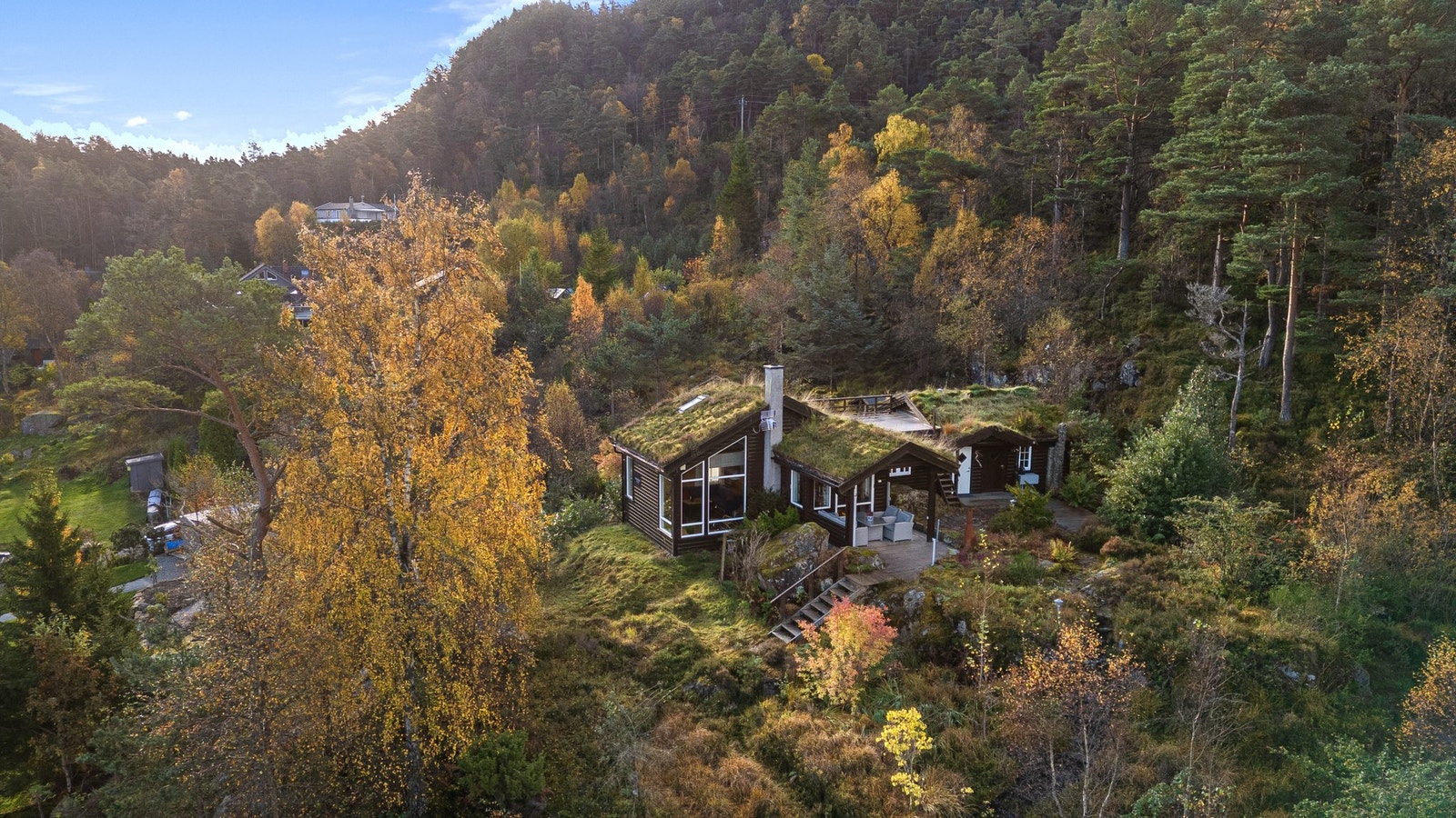 Velkommen til naturen - usjenert og frittliggende. Foto: Arve Gravdal Galleribilde