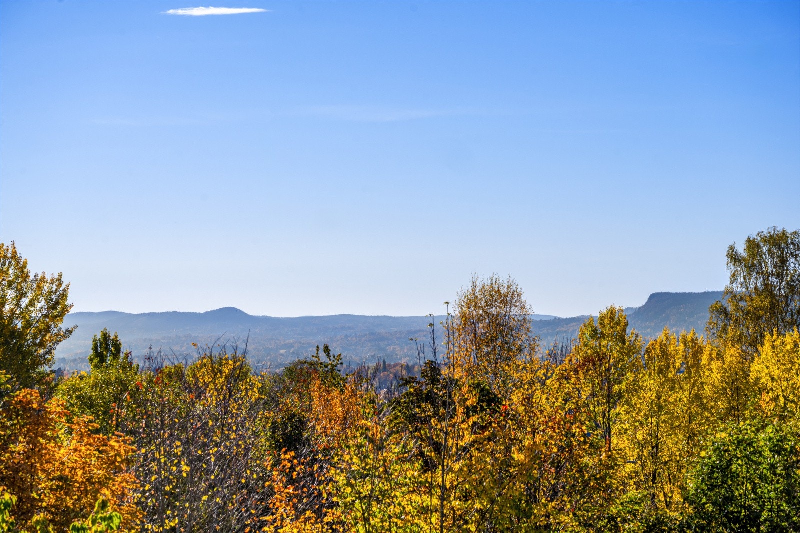 Fra terrassen er det flott utsyn over grøntarealer. Galleribilde