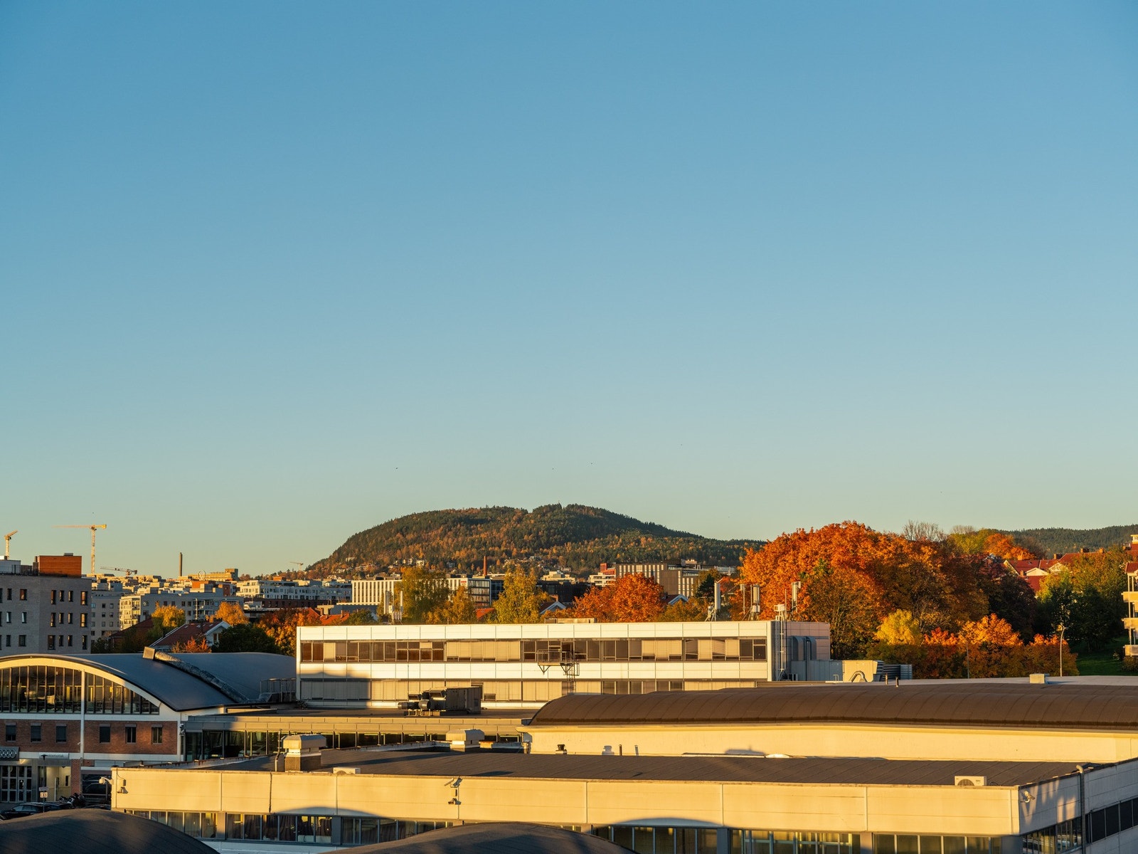 ... og Grefsenkollen. Med andre ord, kan du velge å vrake i utsikt. Galleribilde