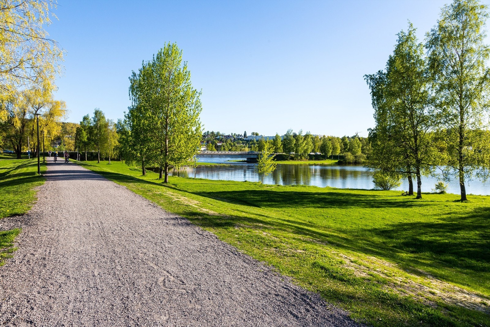 Nærområdet. Galleribilde