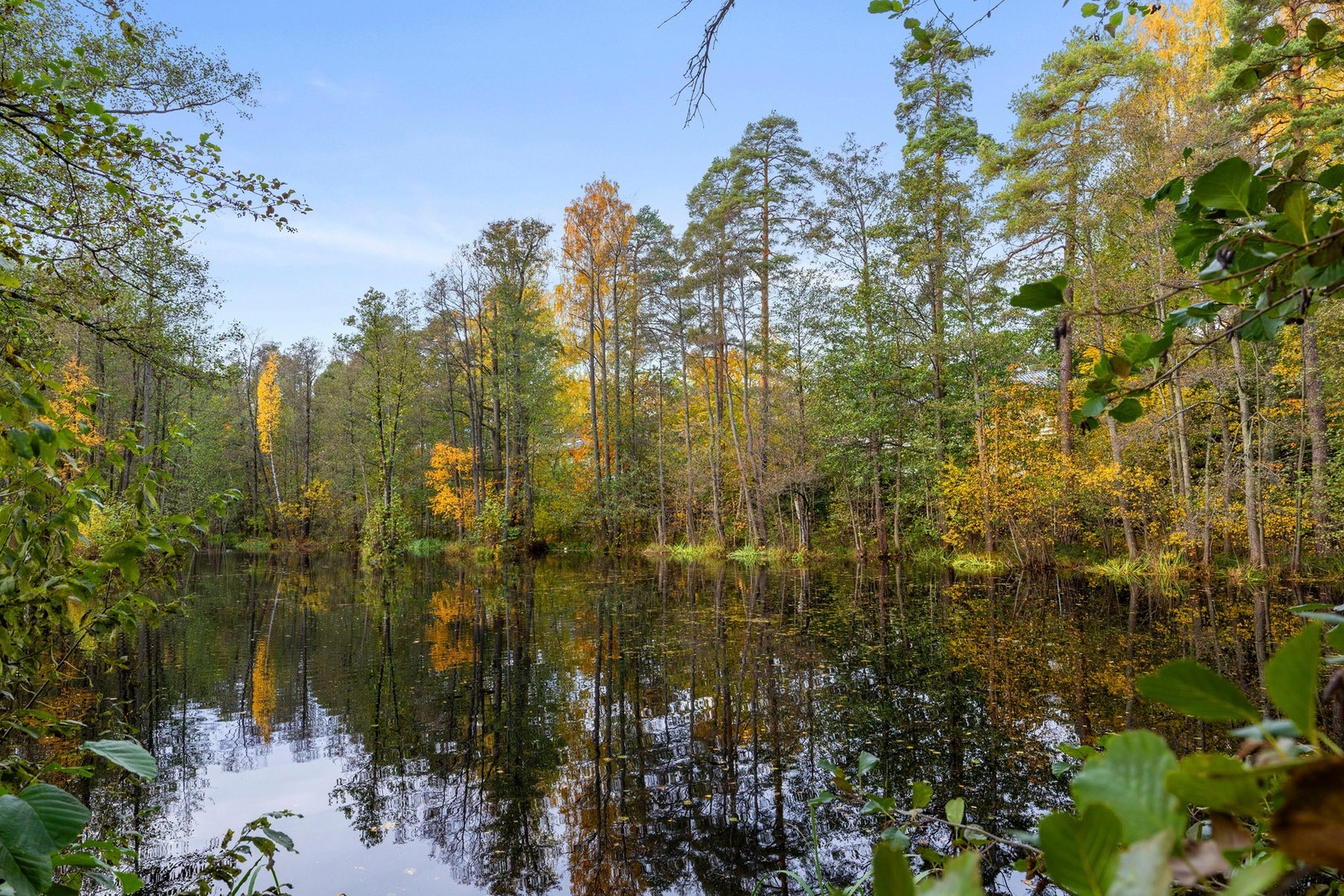 Nærområdet. Galleribilde