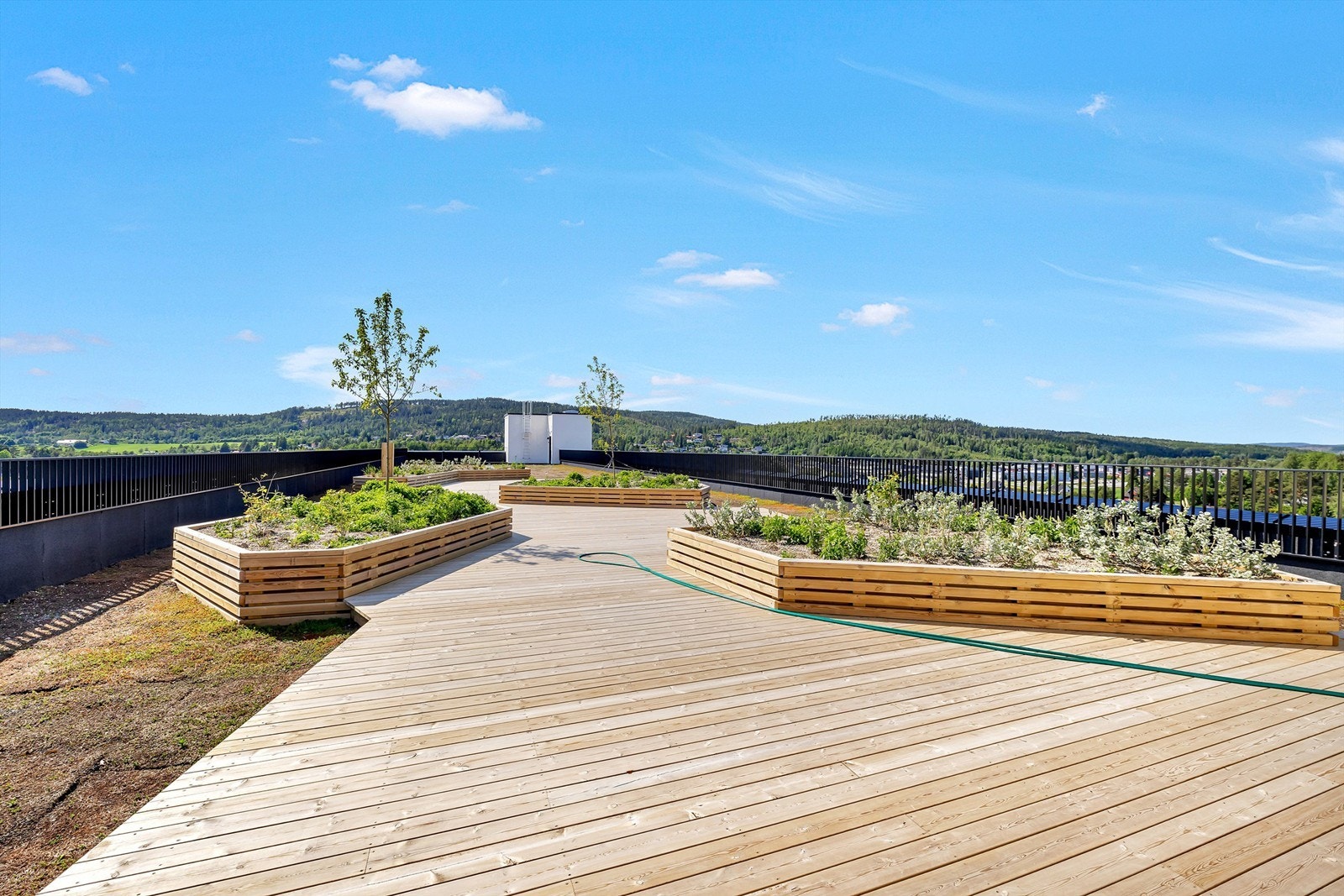 Felles takterrasse Galleribilde