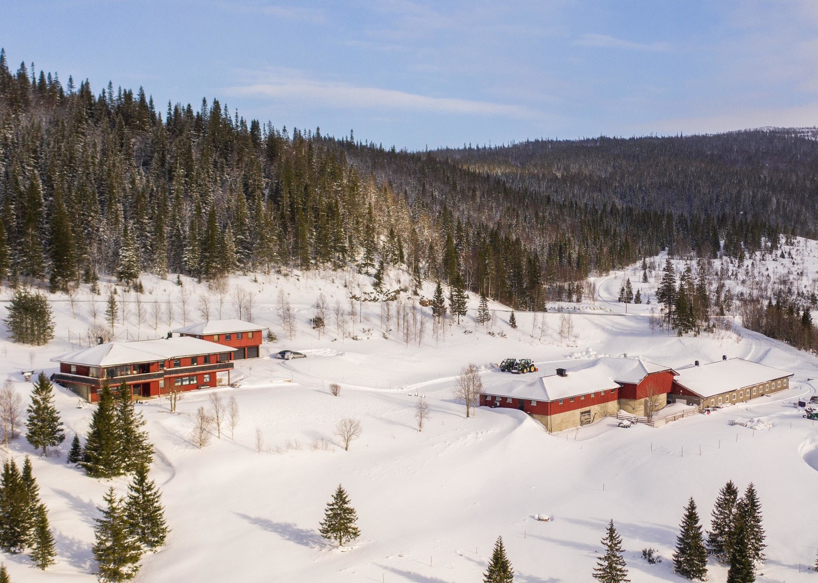 Kveaunet Gård Galleribilde