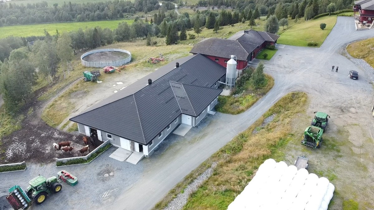 Kveaunet Gård Galleribilde