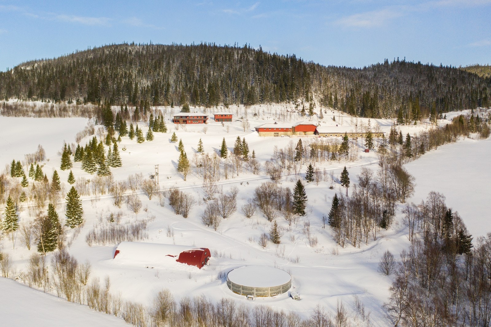 Kveaunet Gård Galleribilde