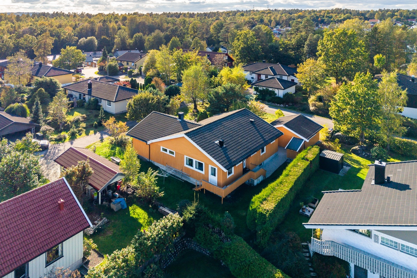 99hoydefoto-4 Galleribilde