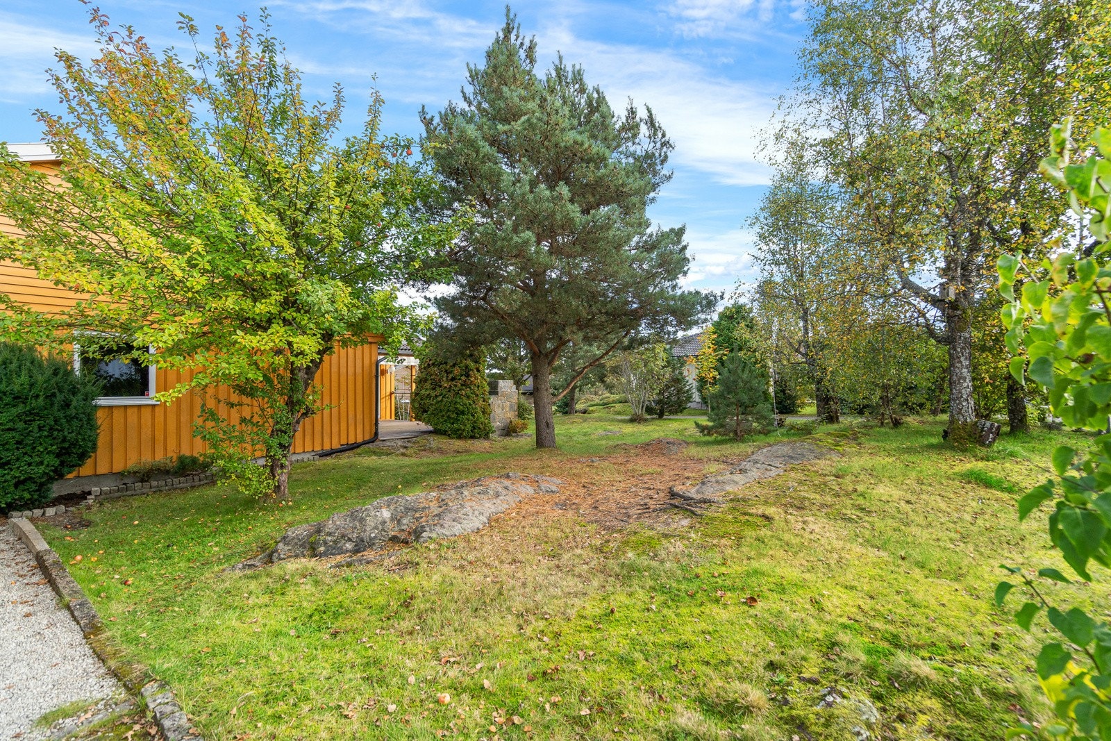 41uteomrade Galleribilde