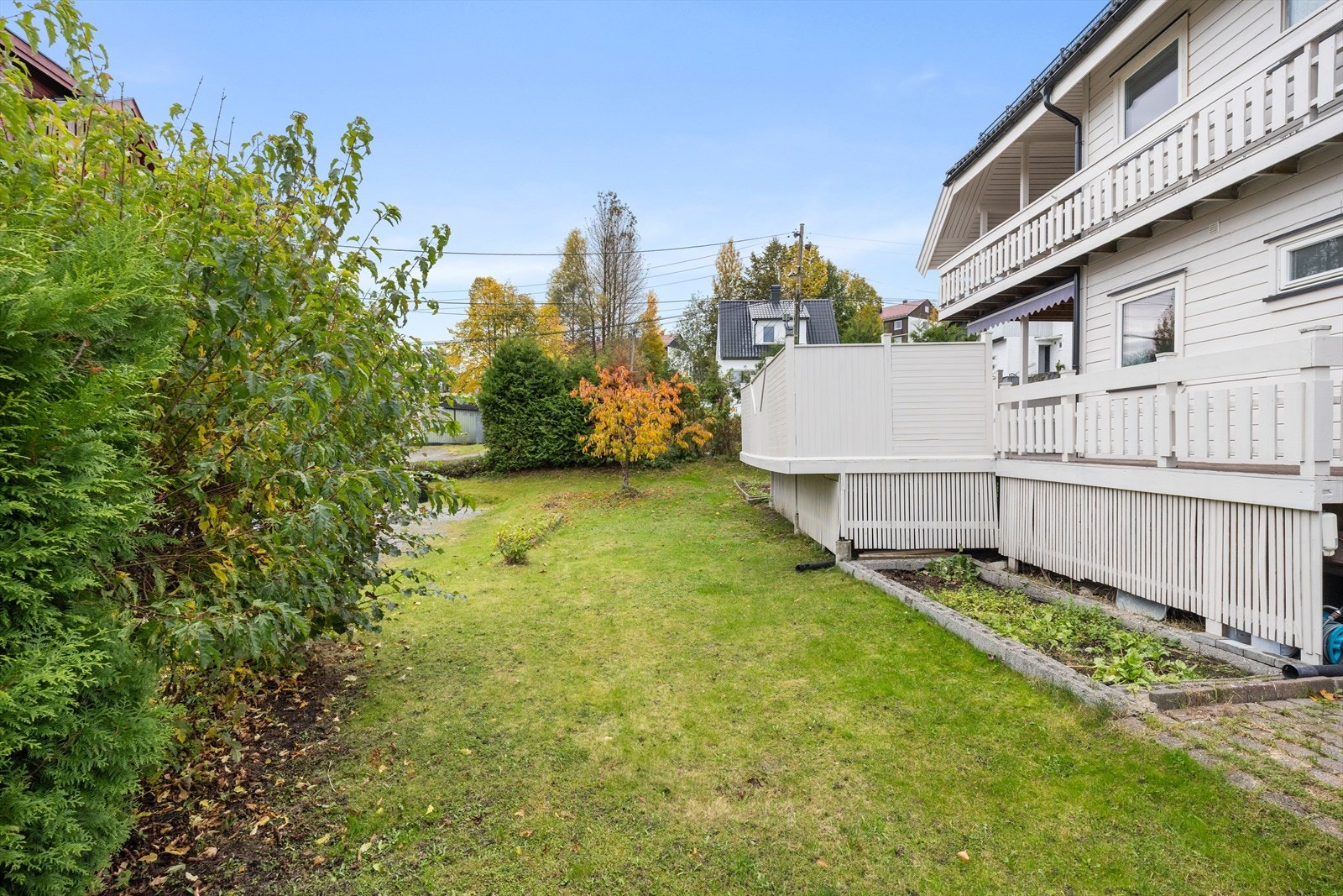 Hage med spredt beplantning Galleribilde