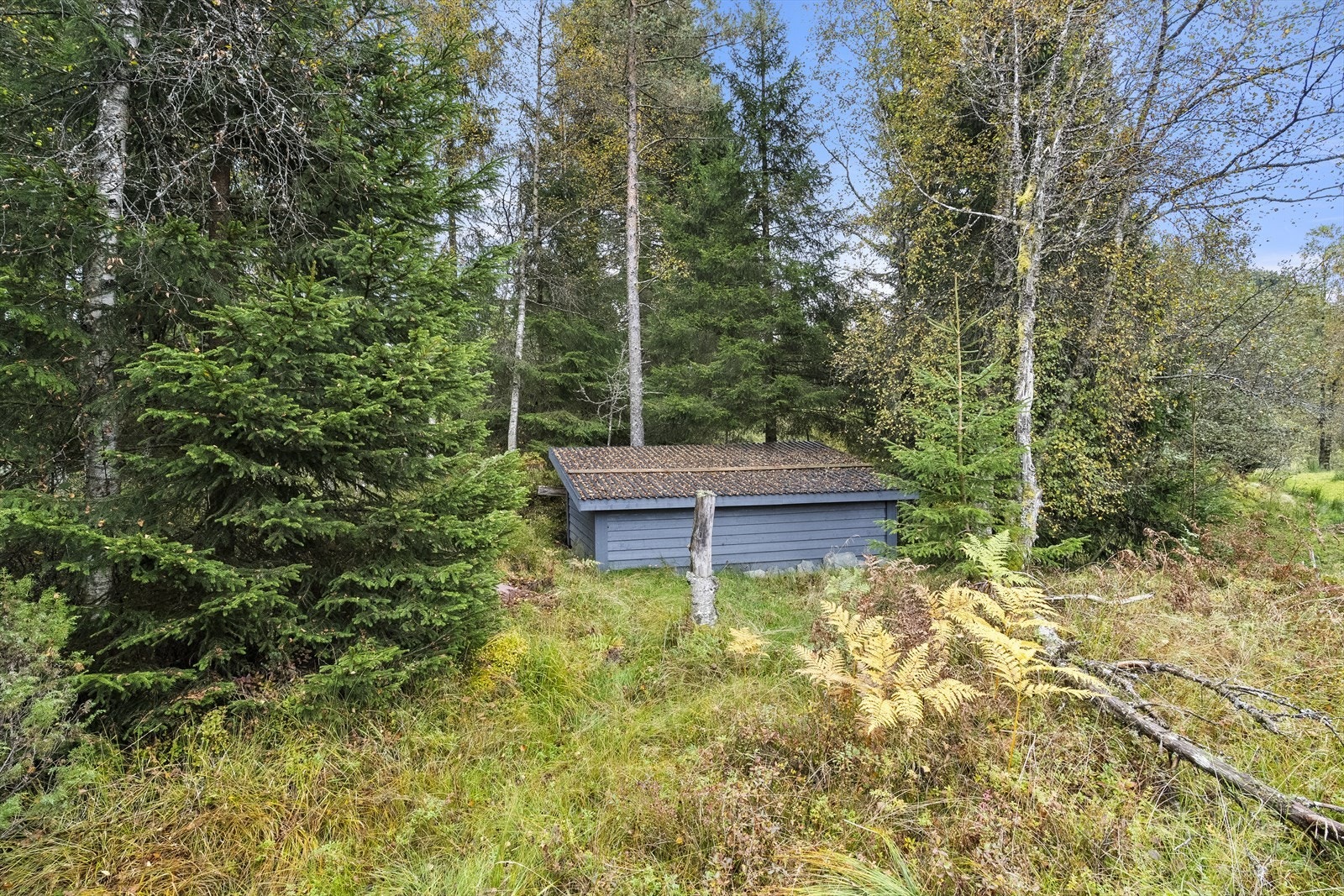 - På tomten ligger det brønnhus. Det er gravd ned vannledning bort til hytten - Galleribilde