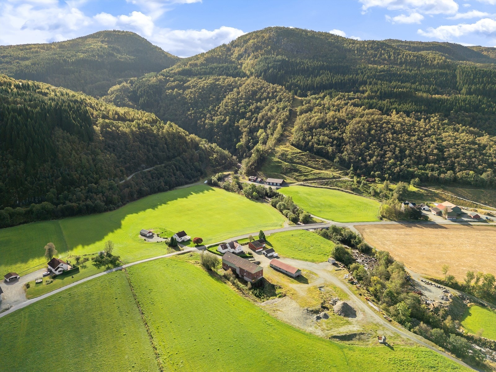 Velkommen til visning! Galleribilde