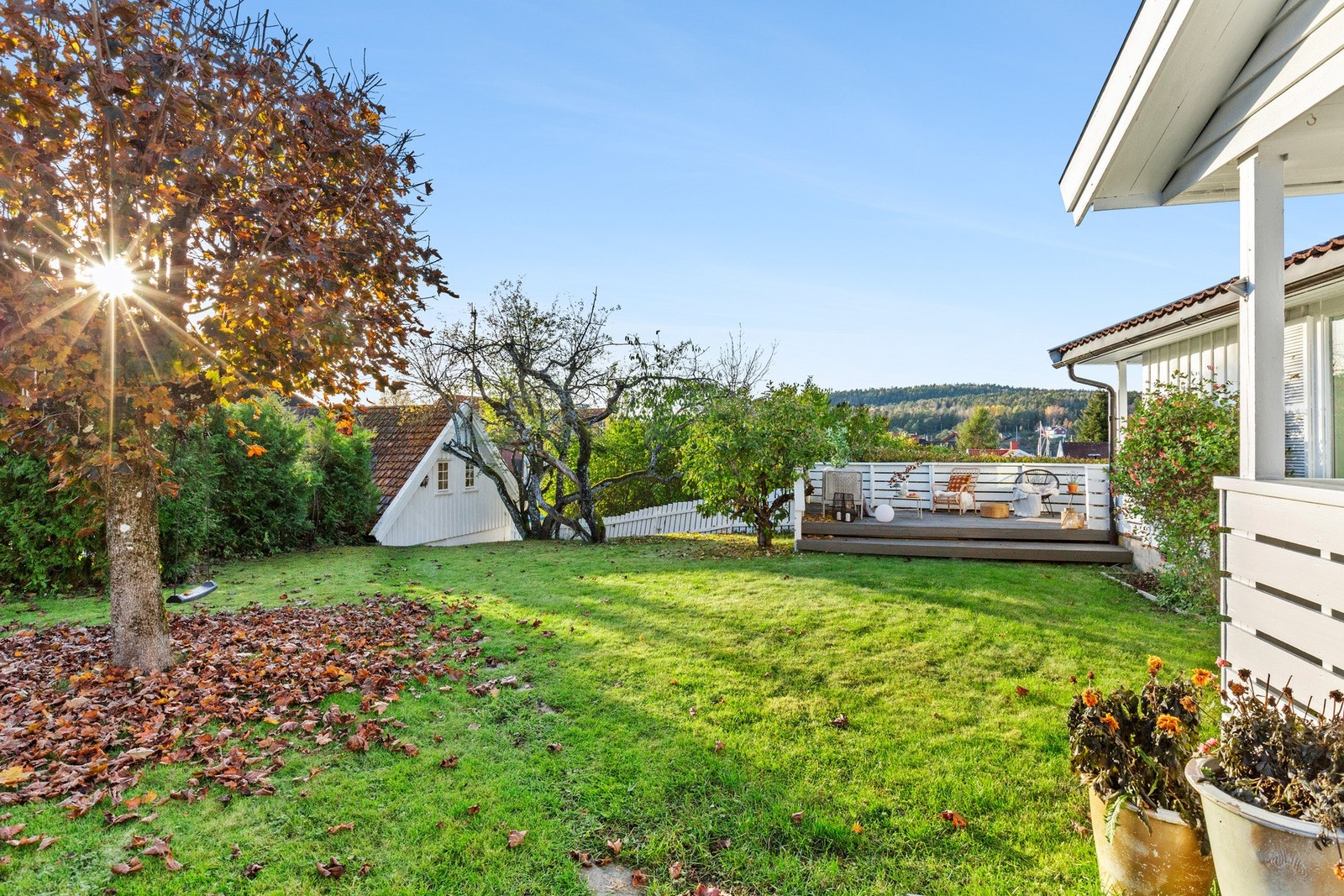 Usjenert hage med vakre omgivelser Galleribilde