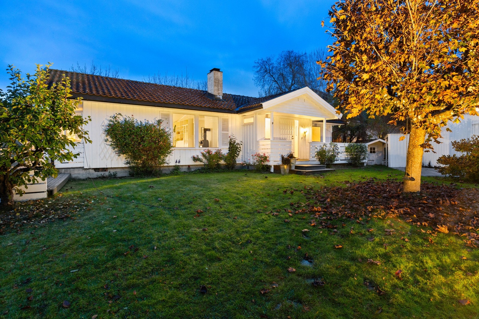 Herlig hage med blodlønn og buskvekster Galleribilde