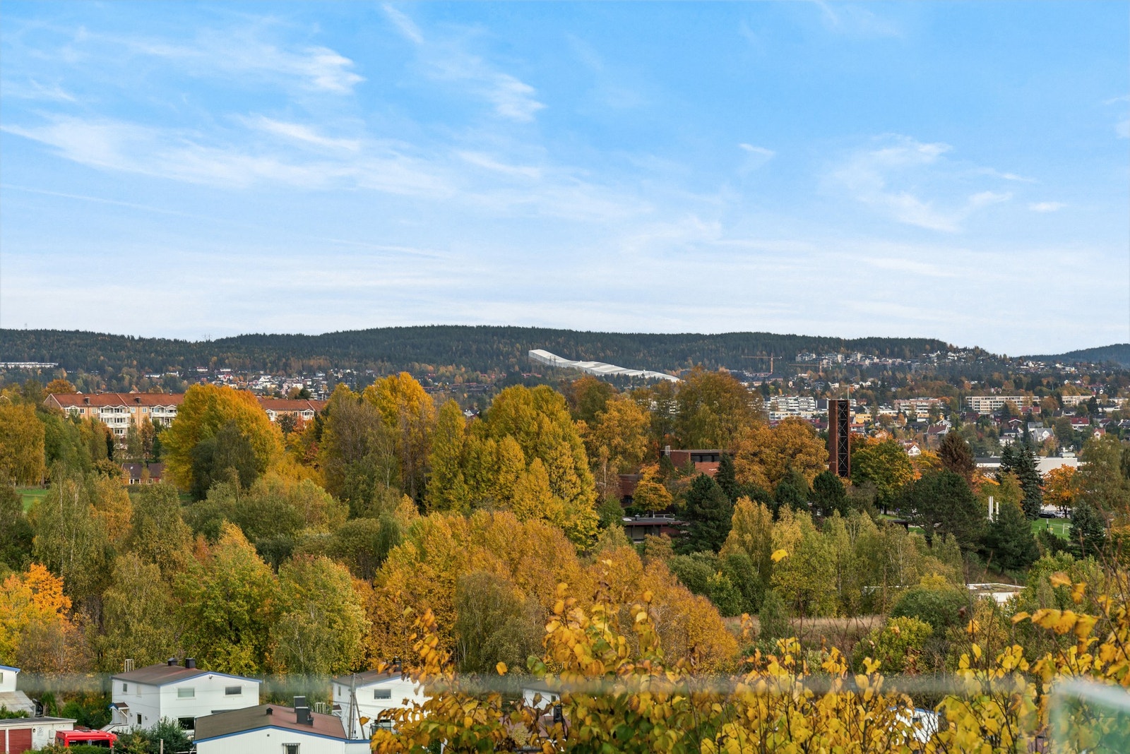 Frodig nærområde Galleribilde