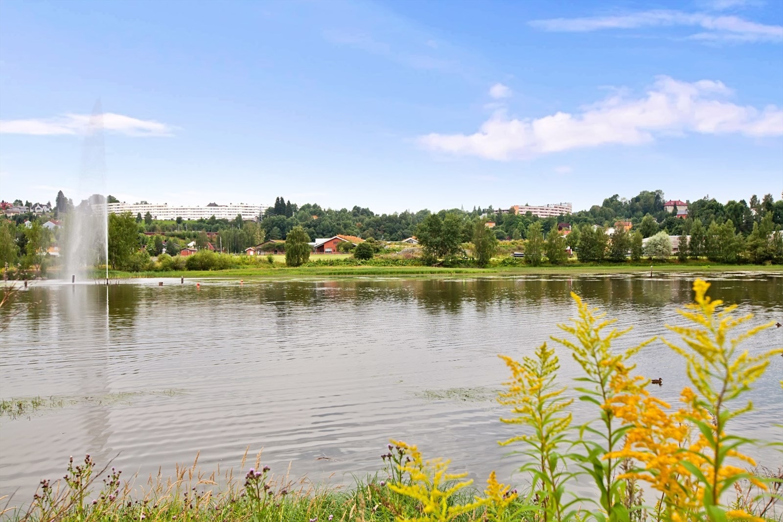 Videre fra Sagdalen/Strømmen og rundt Nitelva til Lillestrøm er det flotte turområder. Galleribilde