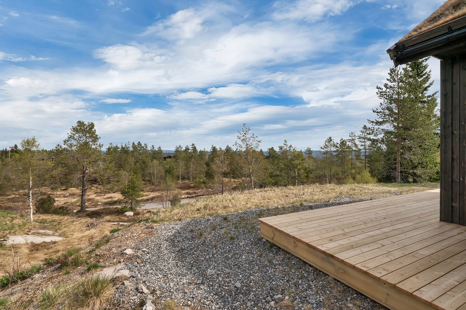 Flotte turterreng i umiddelbar nærhet Galleribilde