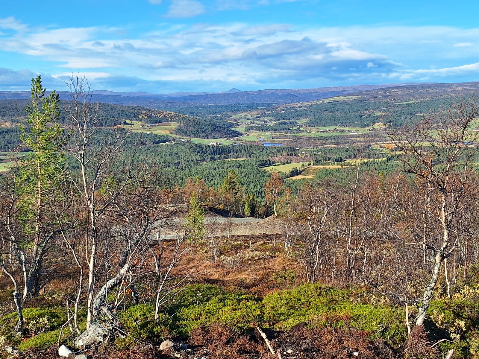 Utsikt fra tomt mot Dalsbygda Galleribilde