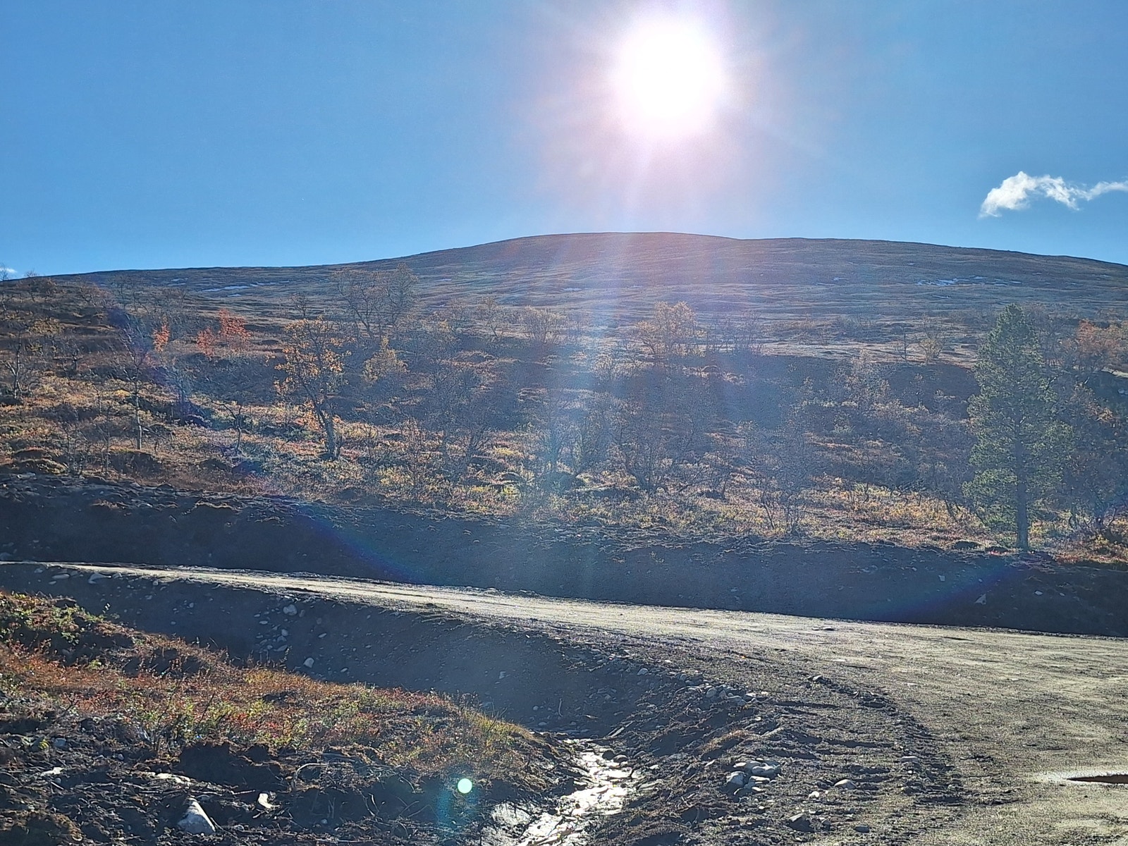 Utsikt fra tomt mot Hummelfjellet Galleribilde
