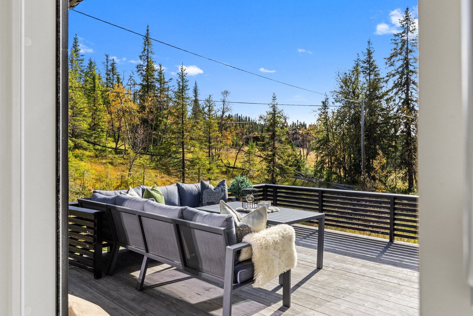 Detaljbilde Galleribilde