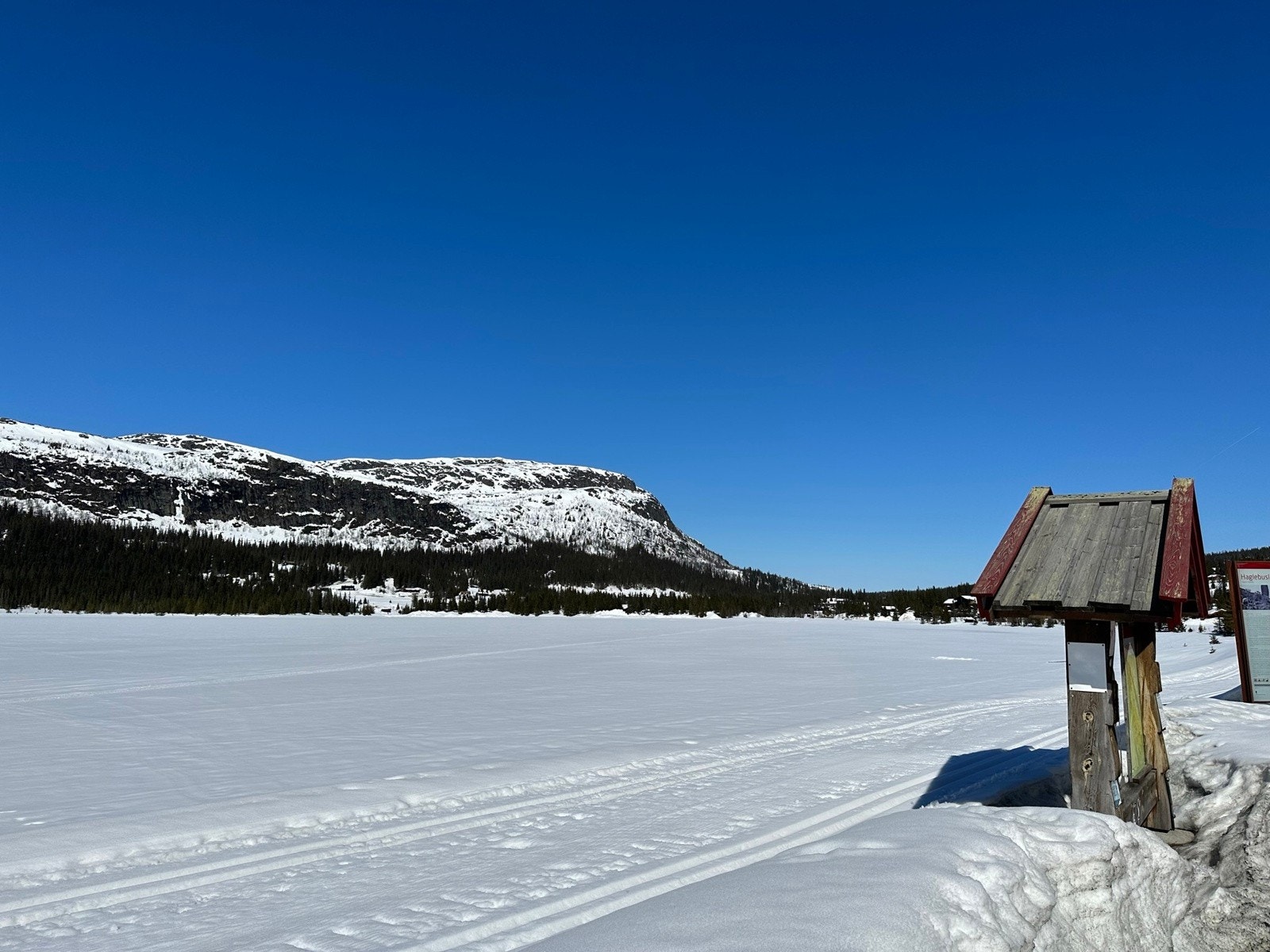 Skiløyper ved Haglebuvatn Galleribilde