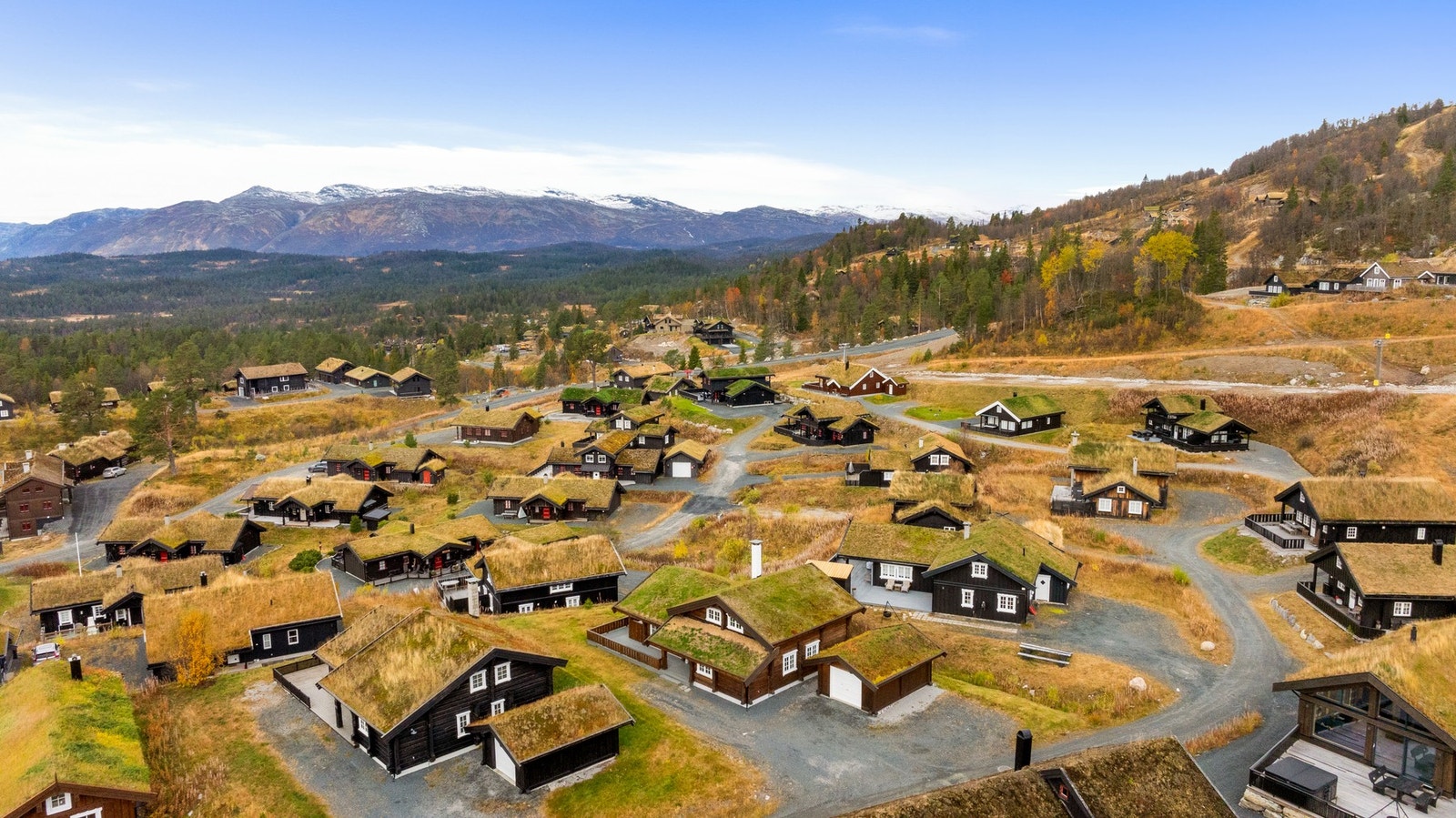 Velkommen til visning! Galleribilde