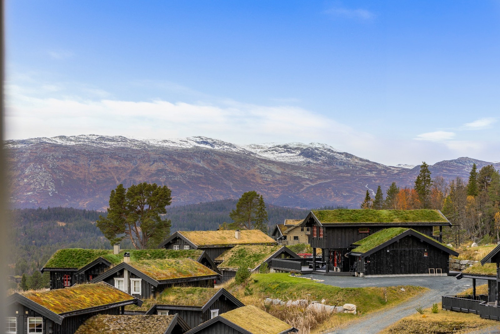 Flott utsikt til Raulandsfjell fra stuen Galleribilde