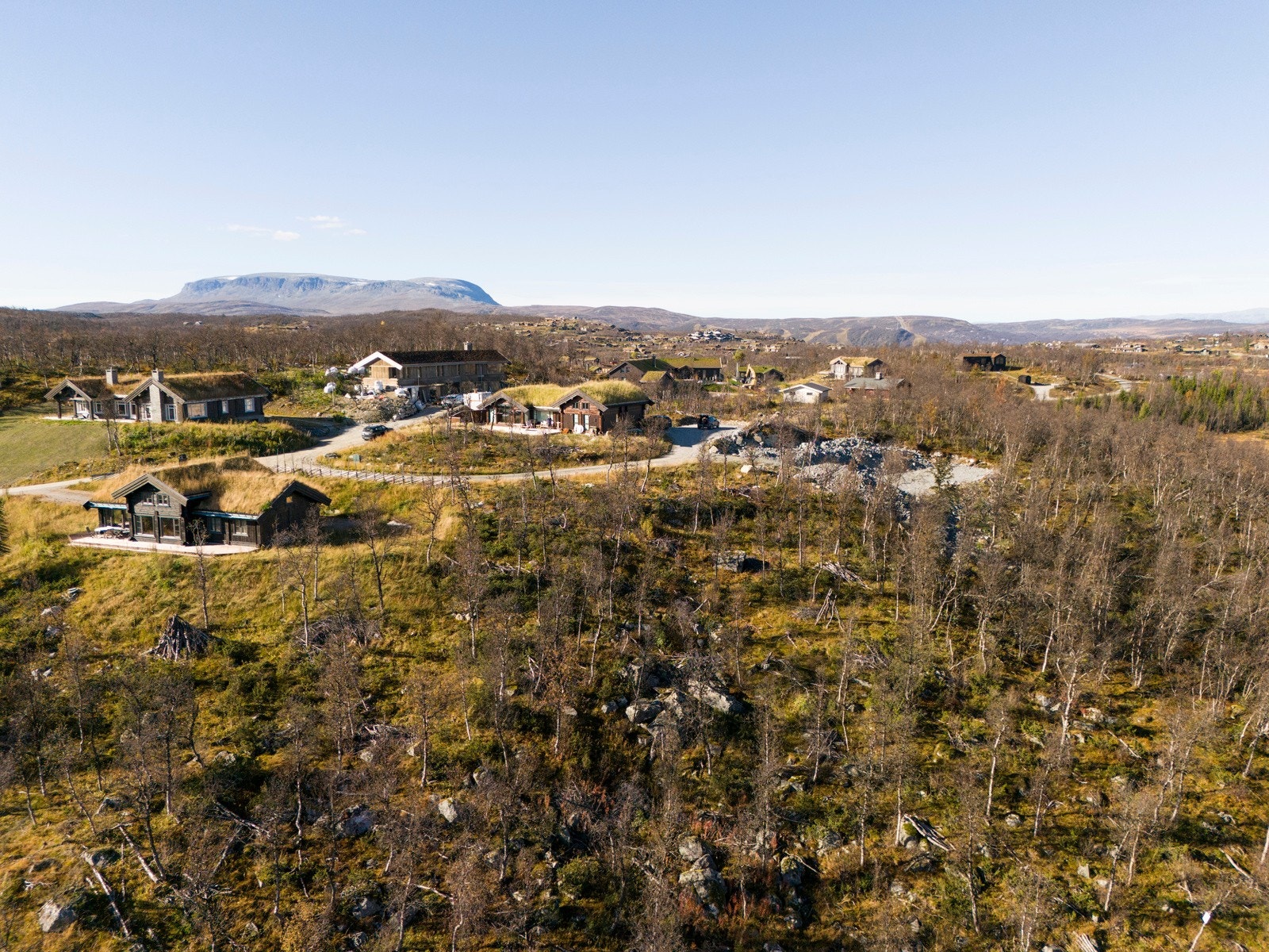 Majestetiske Hallingskarvet i bakgrunnen Galleribilde