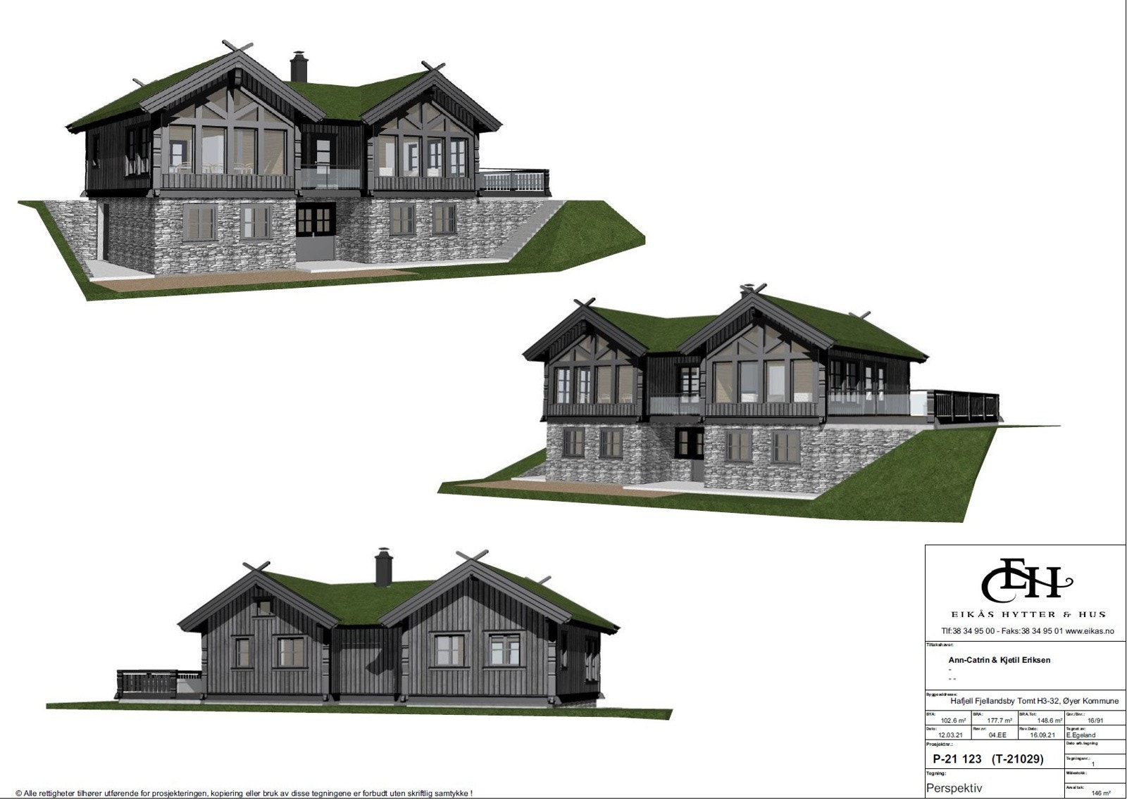 Prosjektert hytte til tomten Galleribilde