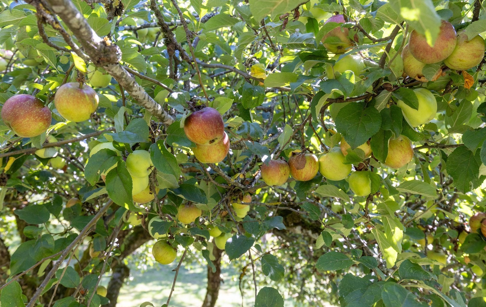 Velkommen til visning - husk påmelding! Galleribilde