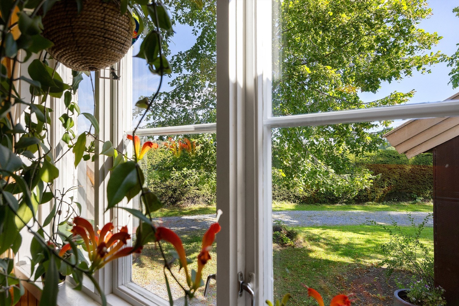 Innkjøringen, sett fra kjøkkenet i hoveddel. Galleribilde