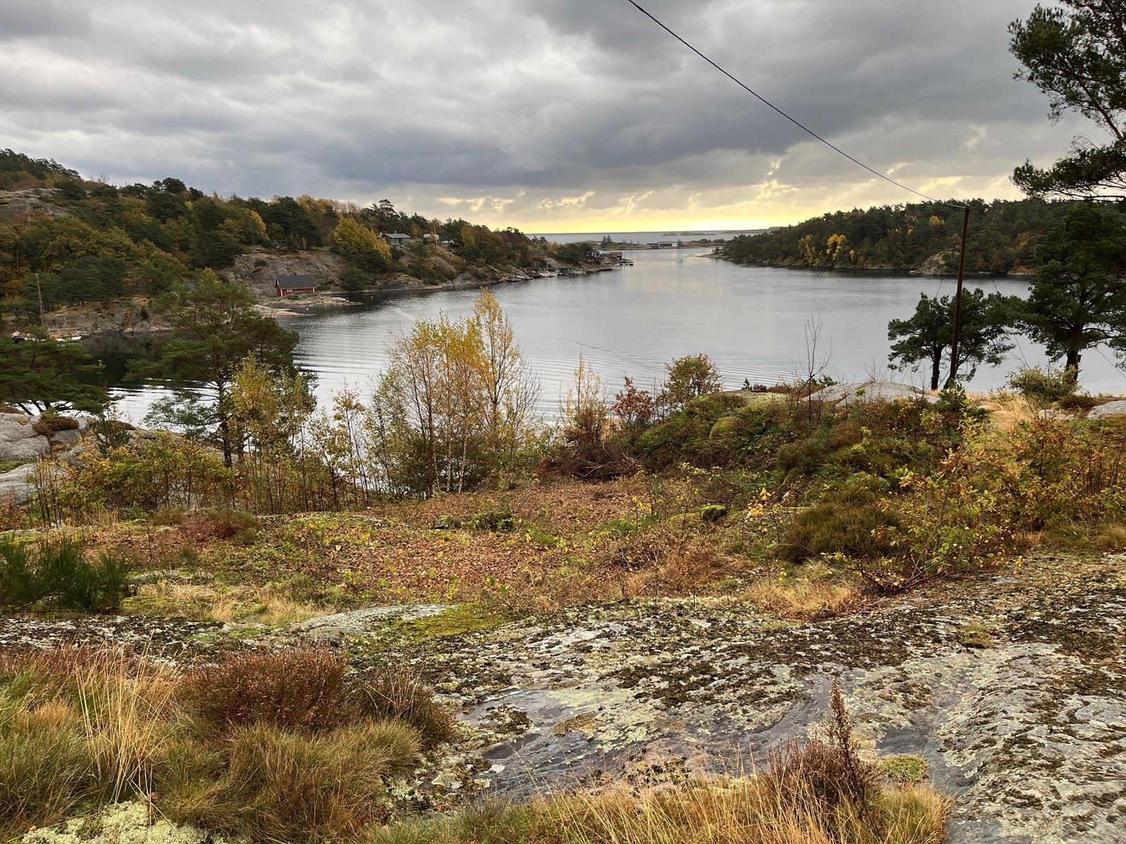 Høstbilde tatt av selger Galleribilde