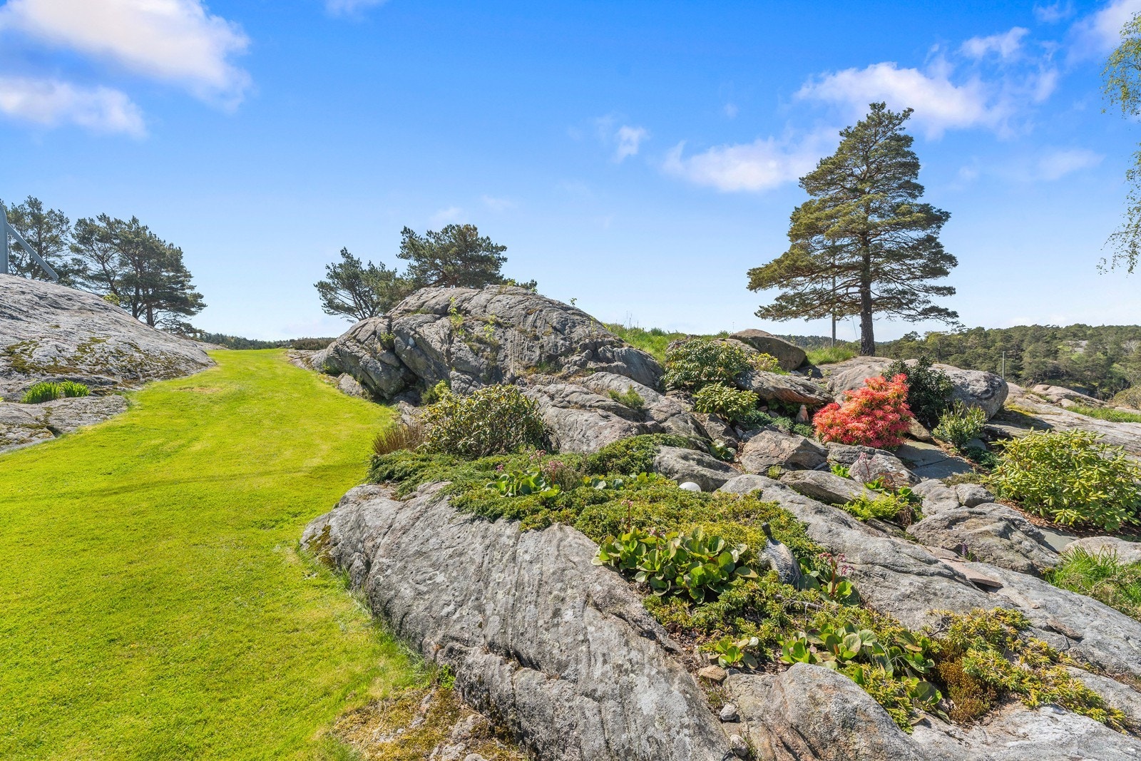 Området fra huset og ned til vannkanten er naturrike Galleribilde