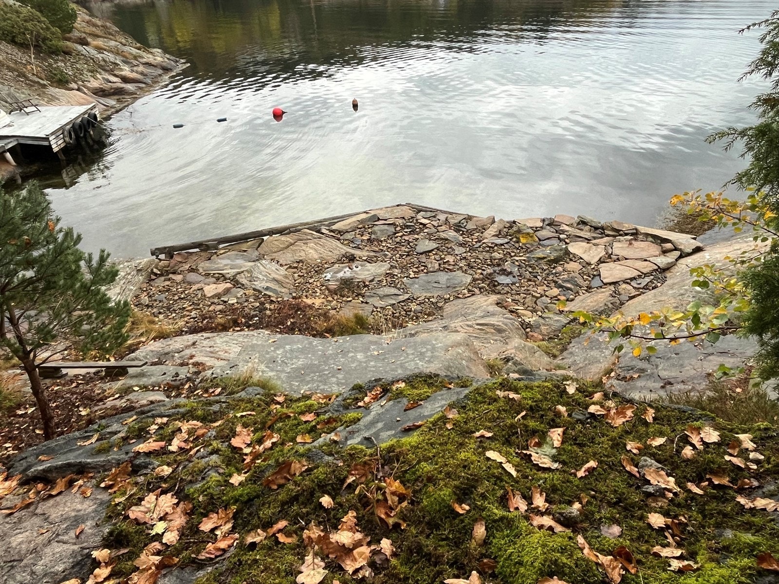 Høstbilde av strandsonen Galleribilde