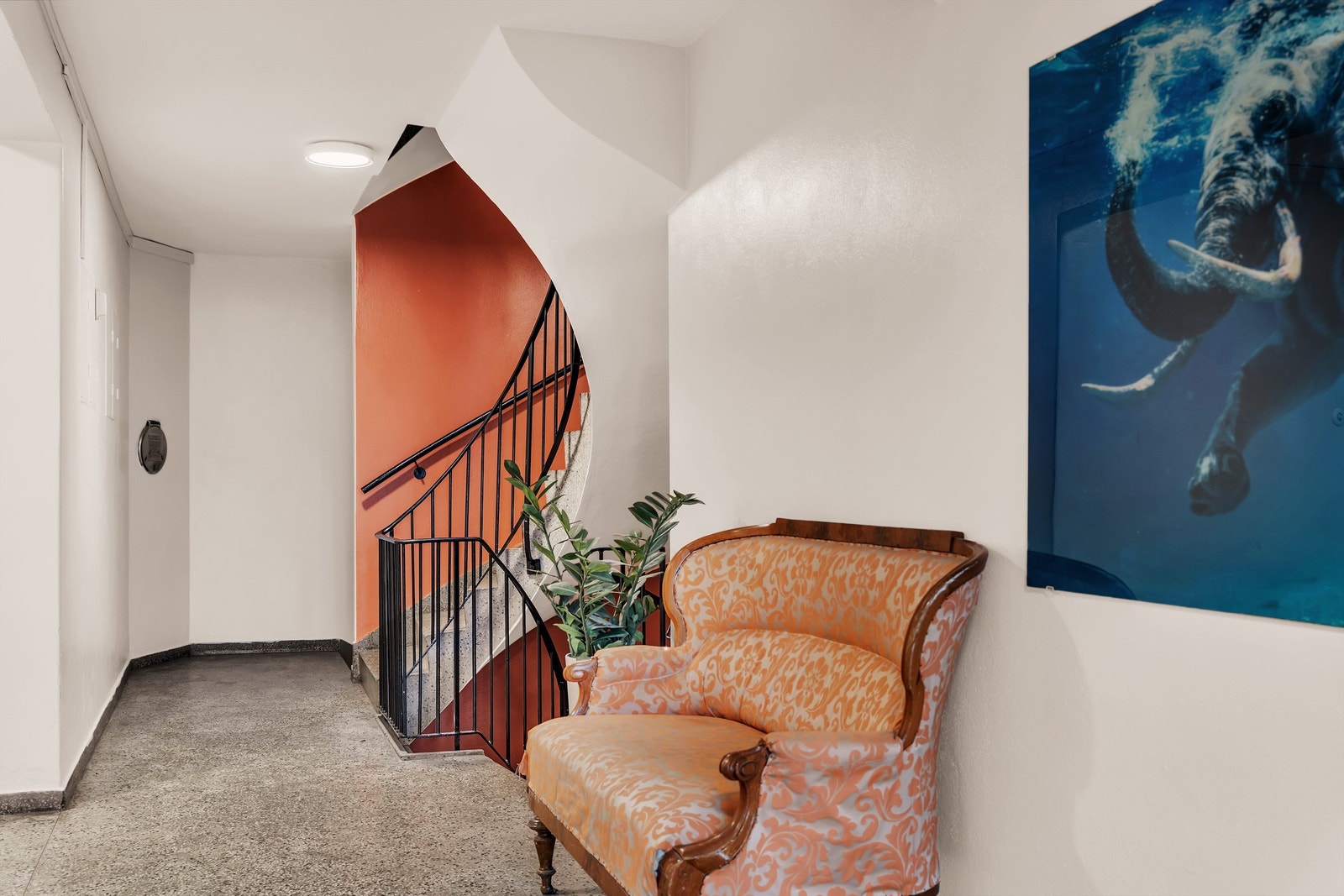 Hyggelig inngangsparti. Galleribilde