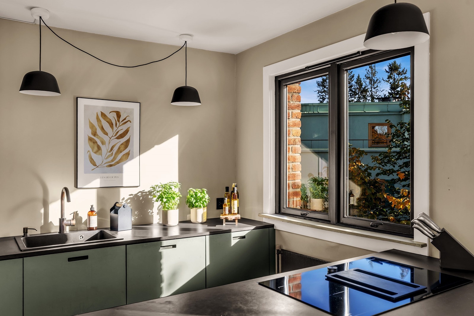 Det er ovenpåliggende oppvaskkum og integrert ventilator med kullfilter i platetoppen. Galleribilde