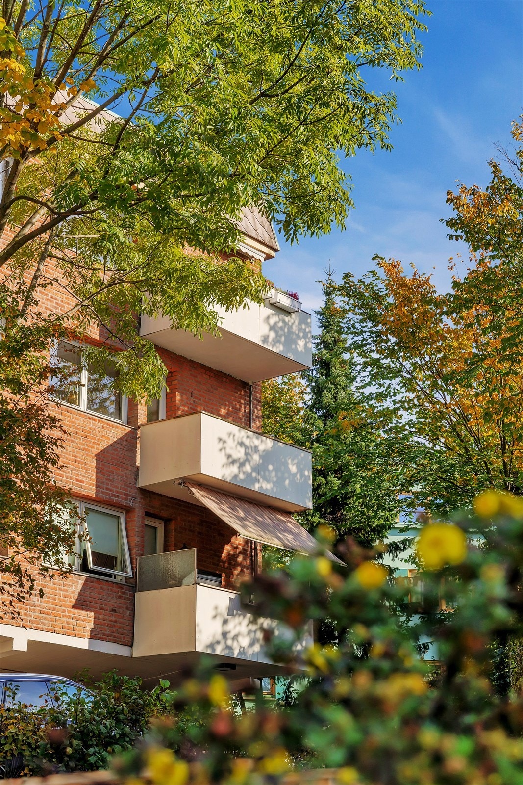 Husk å meld deg på til visning! Galleribilde