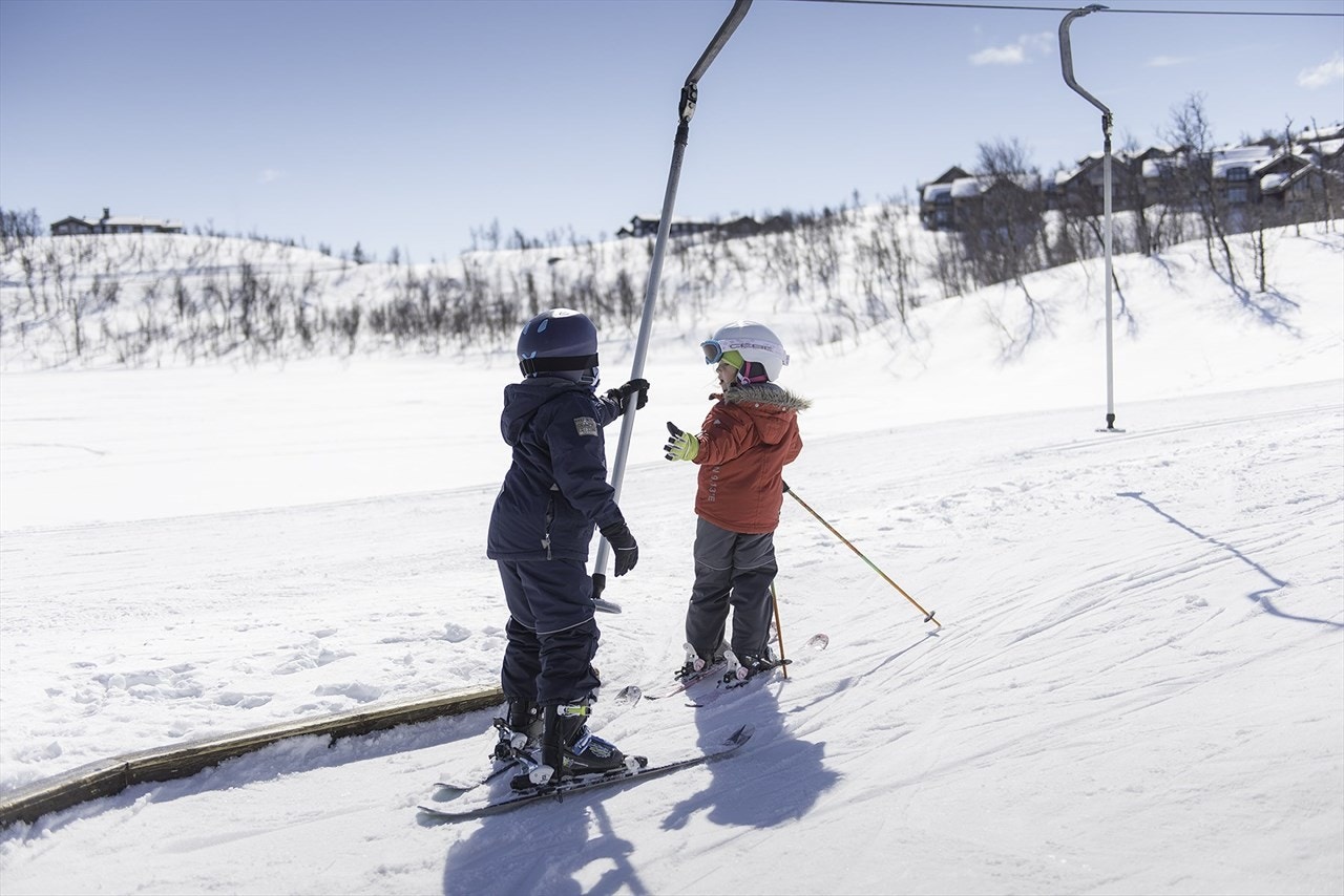 Skiheisen som nærmeste nabo. Galleribilde