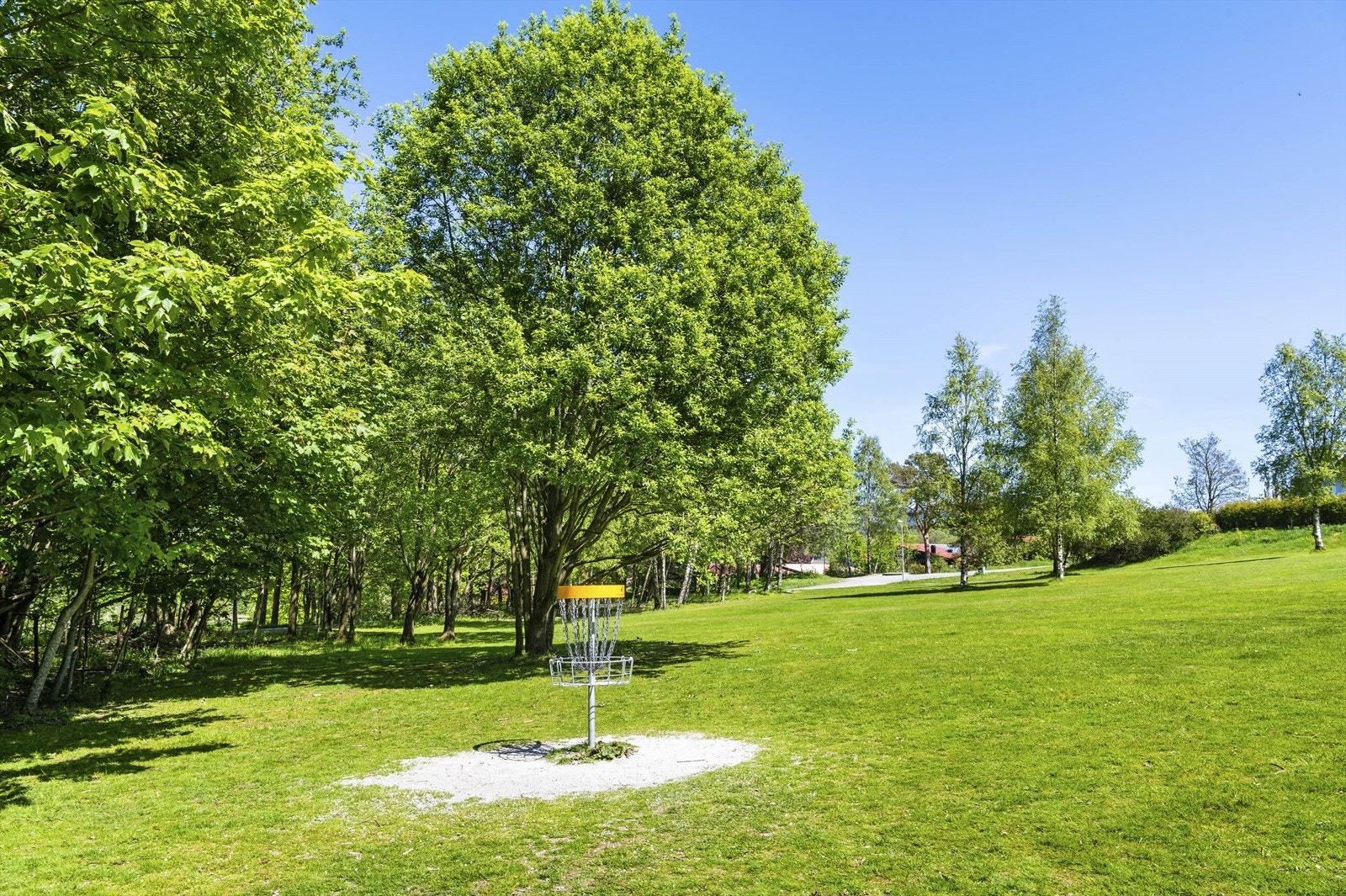 - Det er også frisbeegolf i området - Galleribilde