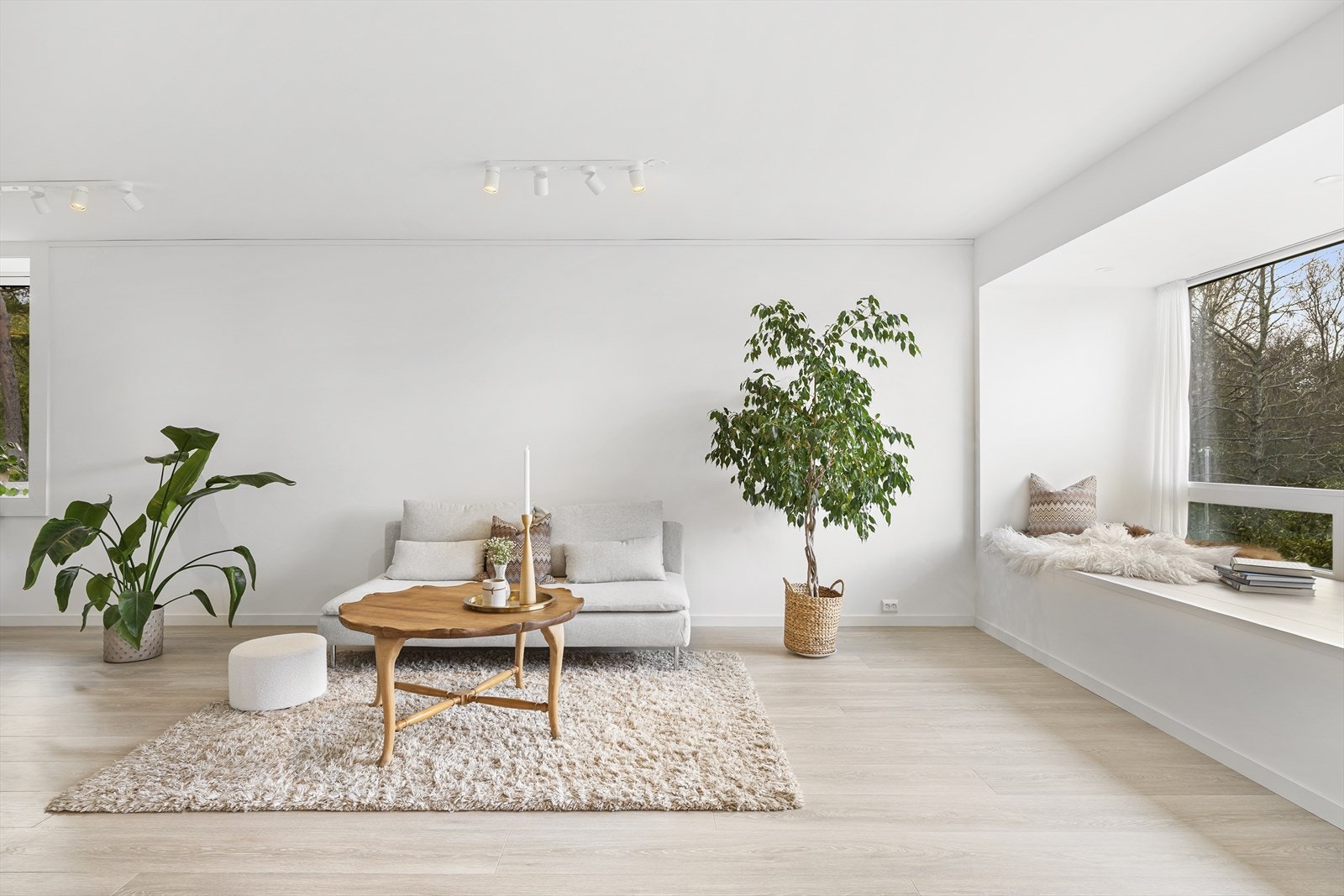 - Leiligheten er lys og innbydende med vinduer i tre himmelretninger - Galleribilde