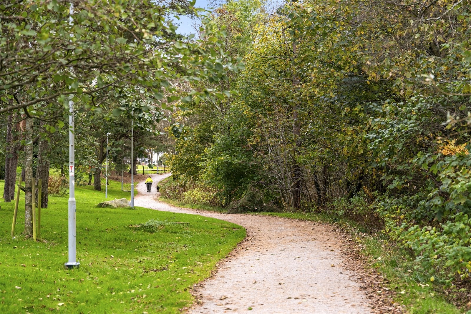 - Like opp stien har man også Rema1000 for en hurtig dagligvarehandel - Galleribilde