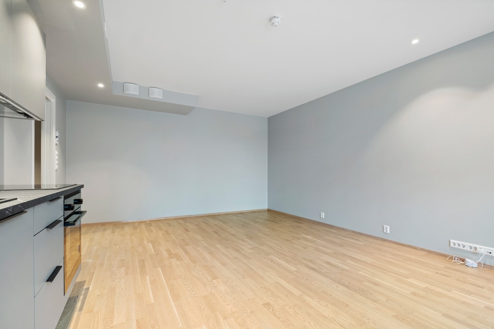 Ekstra takhøyde gir god romfølelse (ca 2,55). Galleribilde