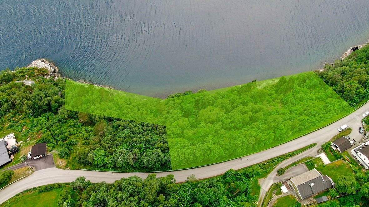 Andanesvegen 52. Galleribilde