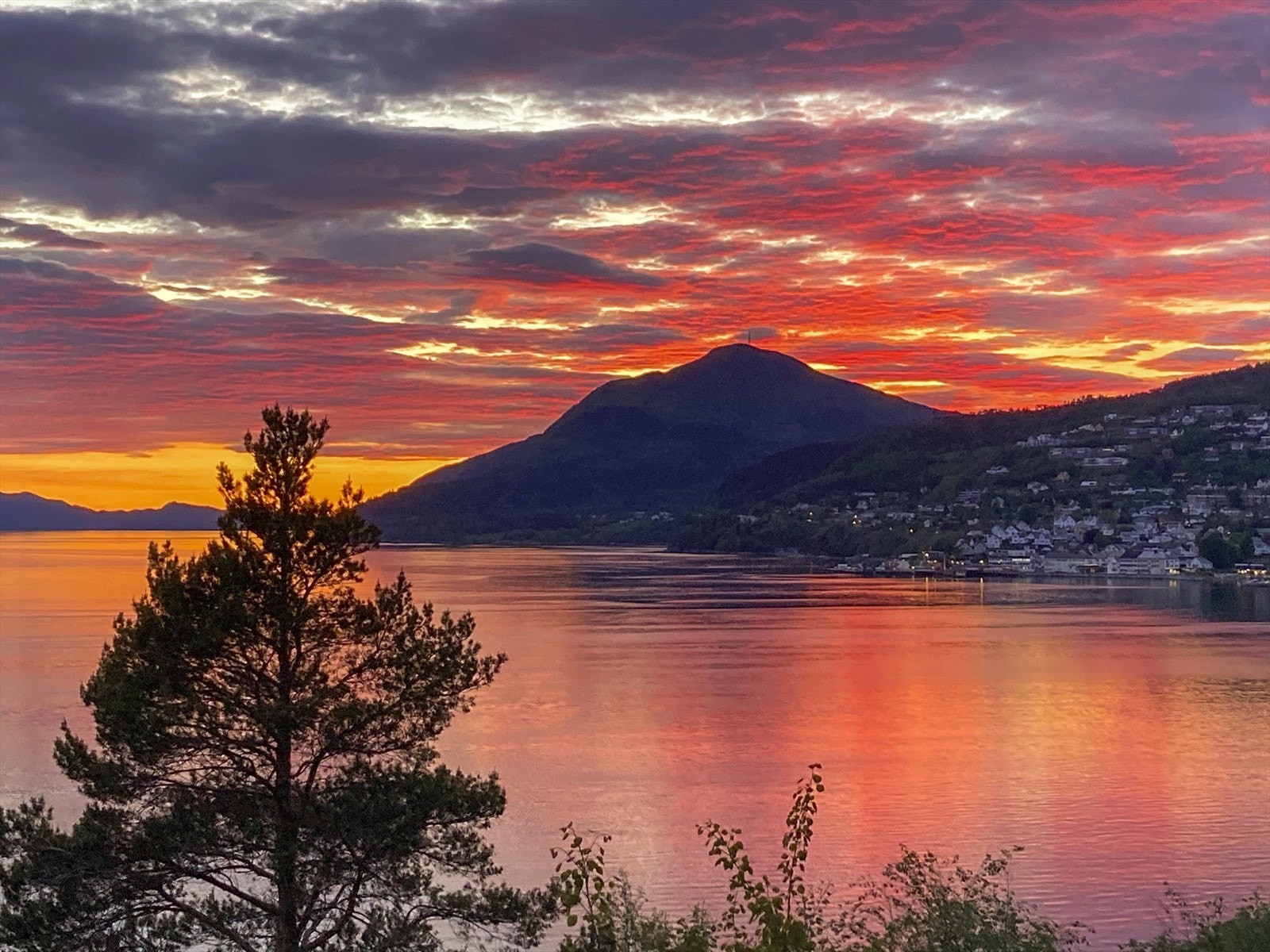 Kveldsbilde frå tomteområde. Galleribilde