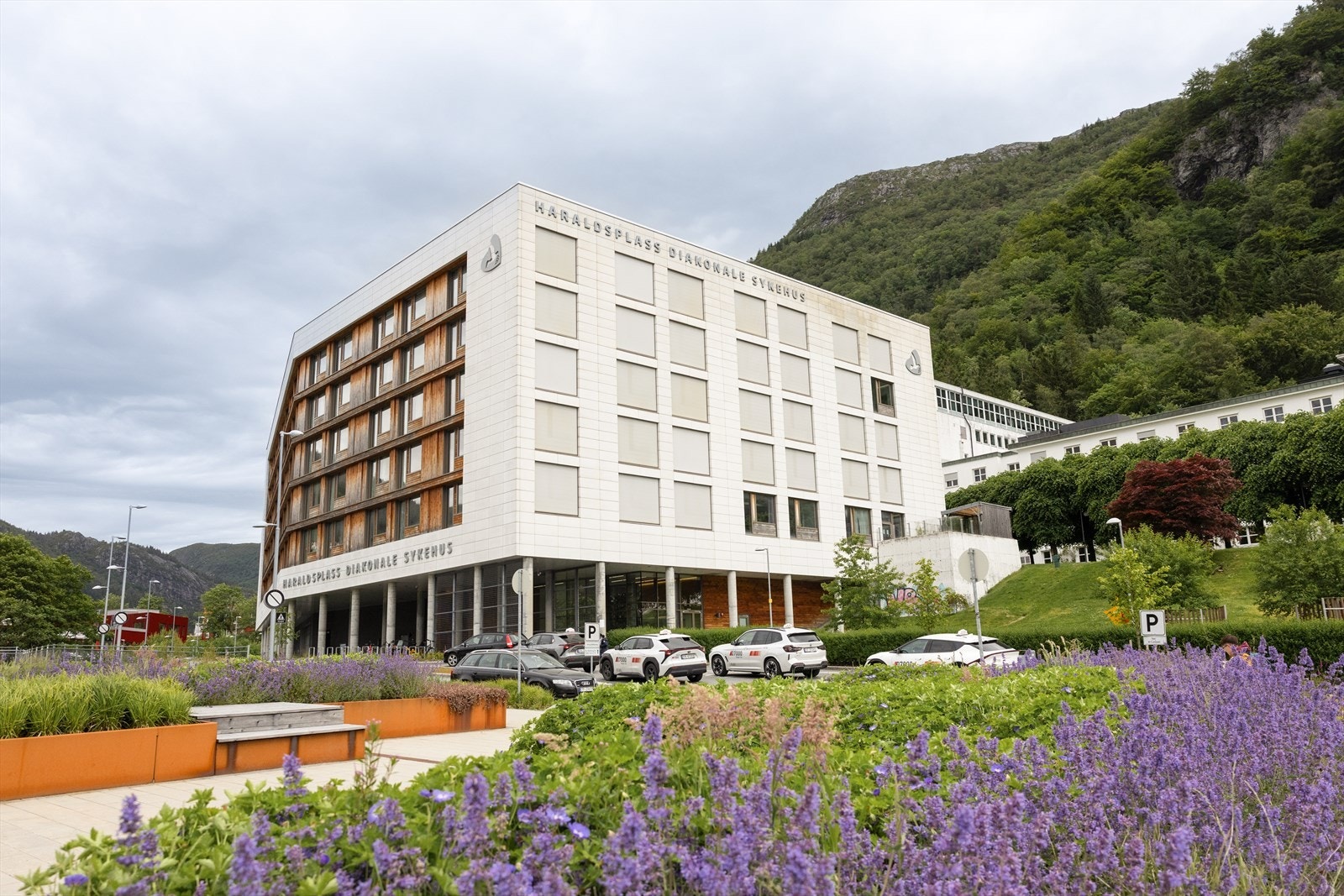 Kort spasertur til Haukeland Universitets Sykehus, Haraldsplass diakonale sykehus og Odontologen m.m. Galleribilde