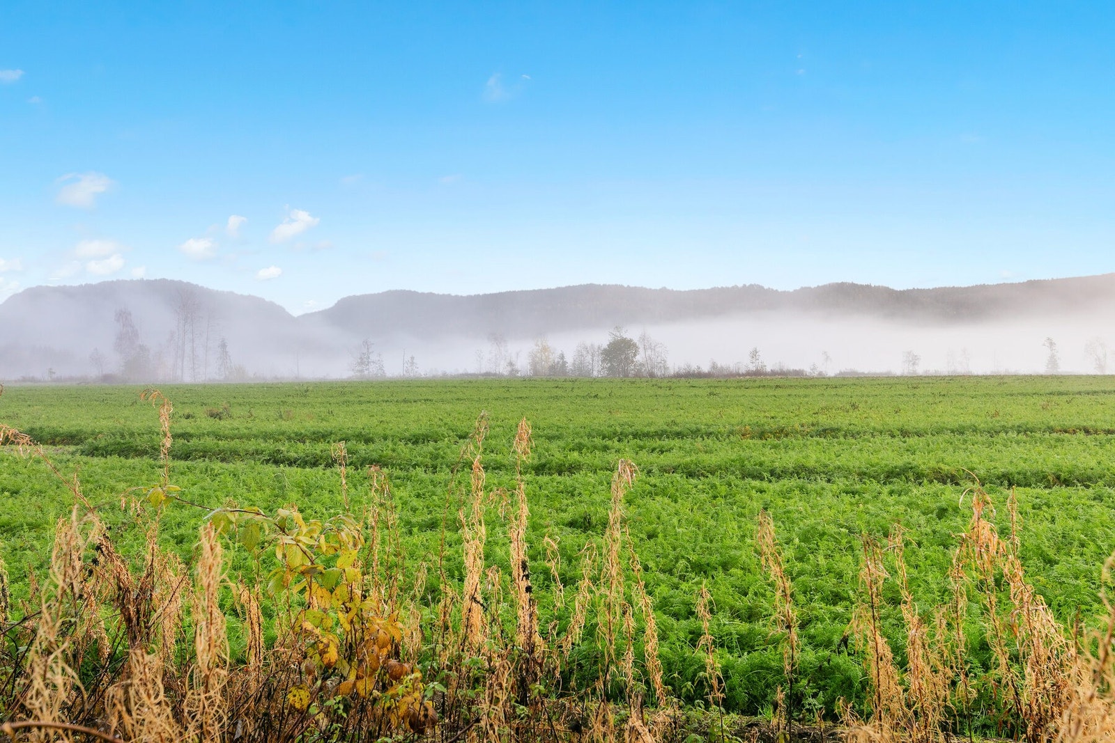 Fint utsyn fra hagen. Galleribilde