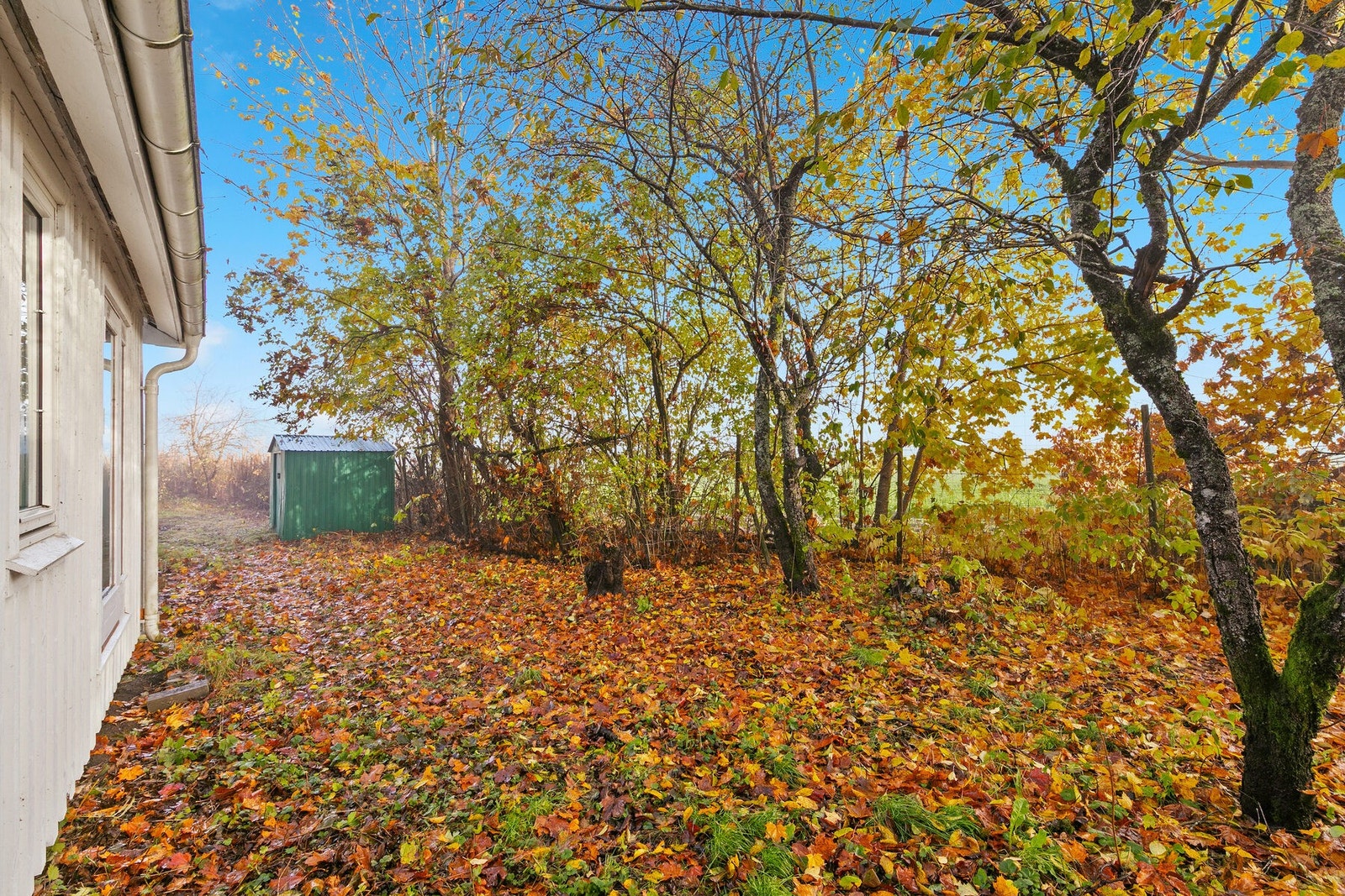 Hyggelig hageområde med beplantning. Galleribilde