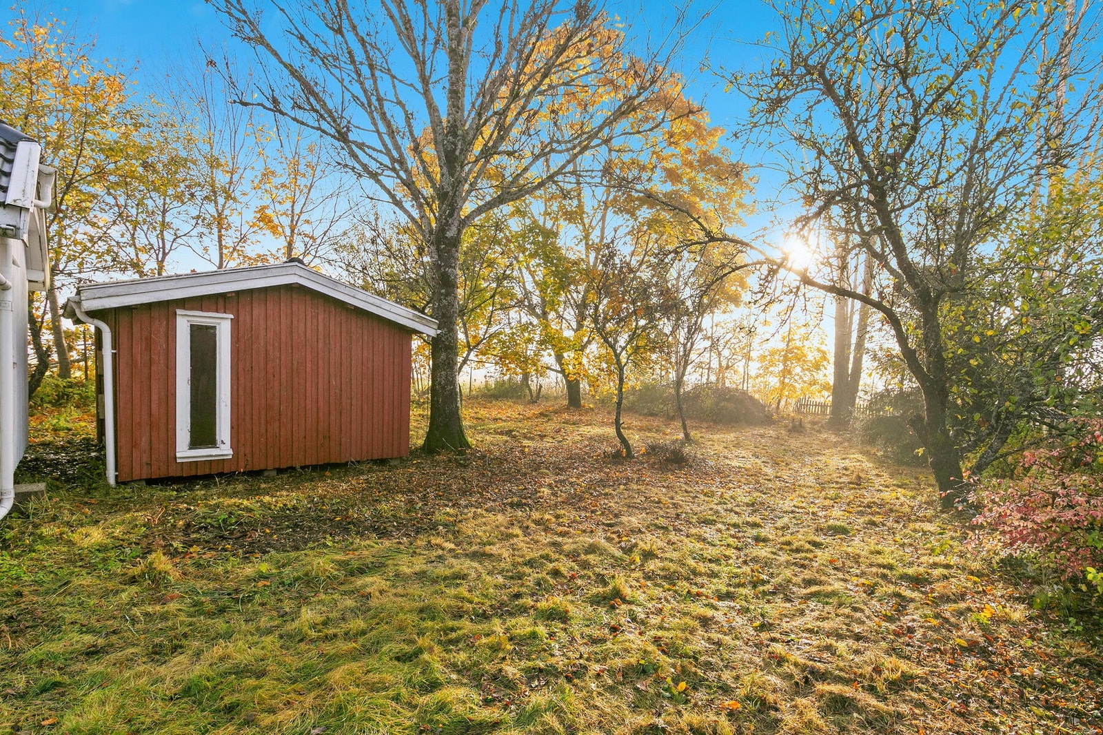 Bakhagen er overraskende skjermet fra veien. Galleribilde