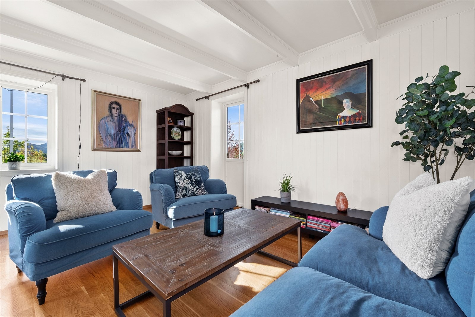 Det er flere naturlige soner med en "finstue" innerst Galleribilde