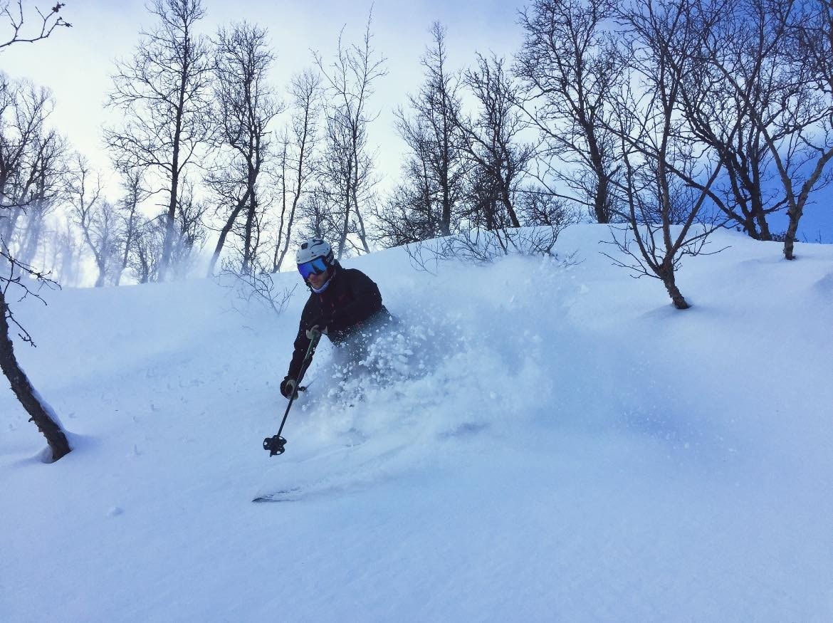 Skikjøring ved Hallingskarvet Skisenter - meglers bilde Galleribilde
