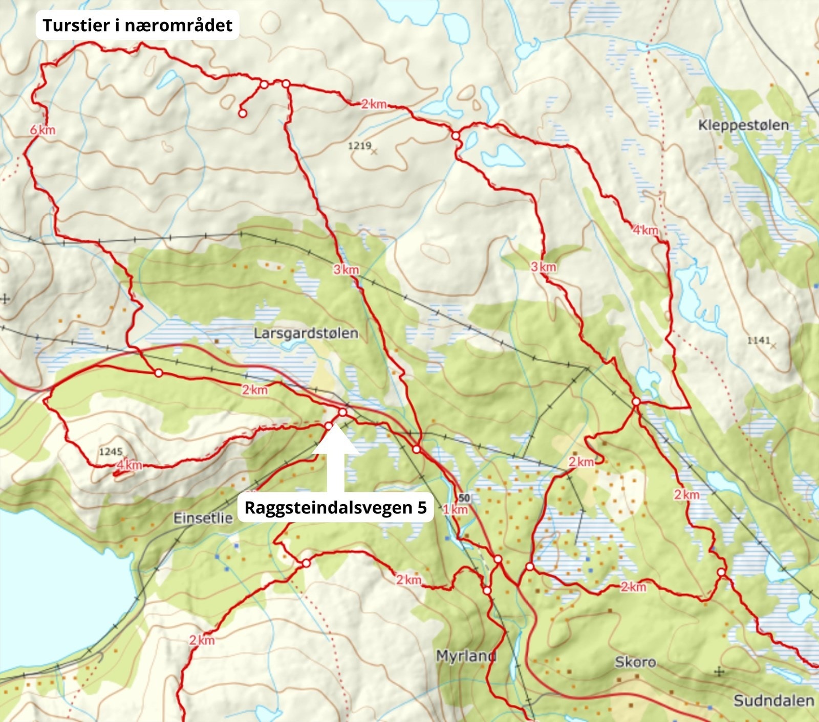 Turstier i nærområdet Galleribilde