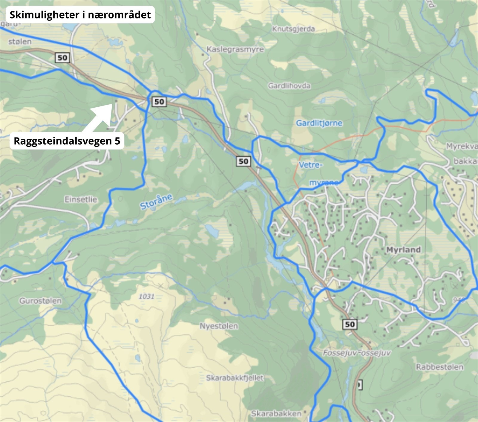 Langrenn Galleribilde